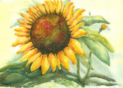 Sun Flower