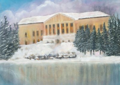 Buffalo History Museum